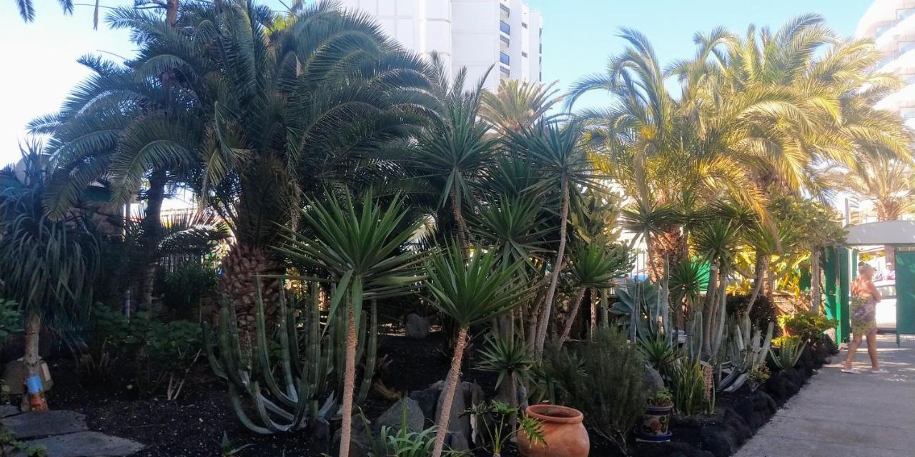 Cactus Apartment Maspalomas  Exterior photo